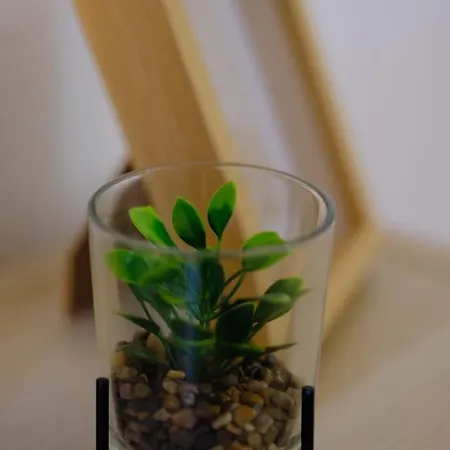 Gare - Chez Guillaume Apartment