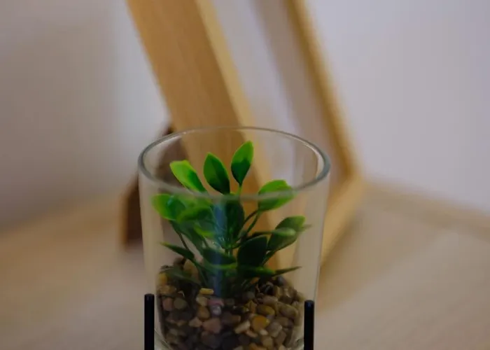 Gare - Chez Guillaume 아파트